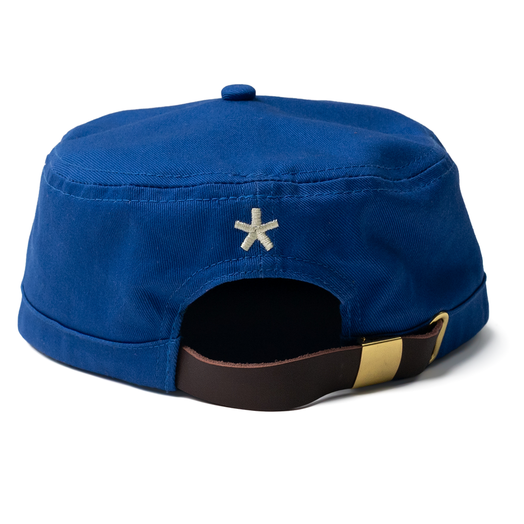 Blue PillBox